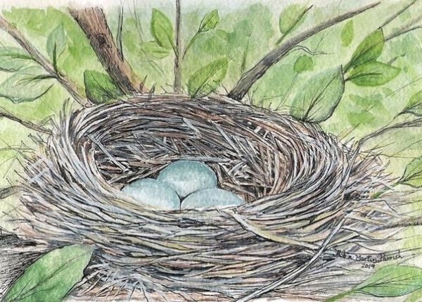 Нарисовать гнездо