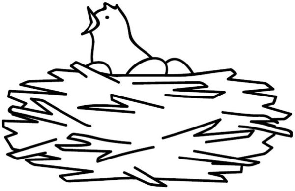 Гнездо карандашом для детей