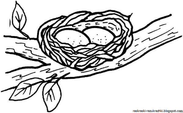 Гнездо раскраска