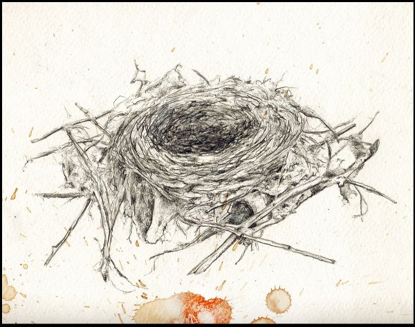 Гнездо карандашом