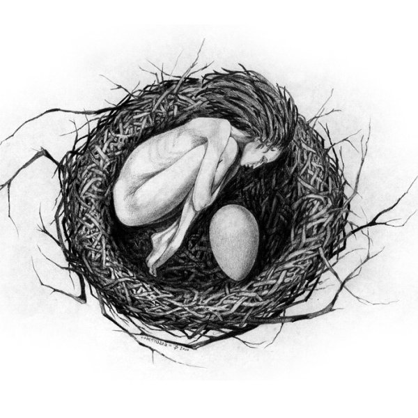 Человек в гнезде