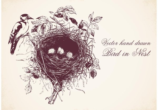 Птица в гнезде силуэт