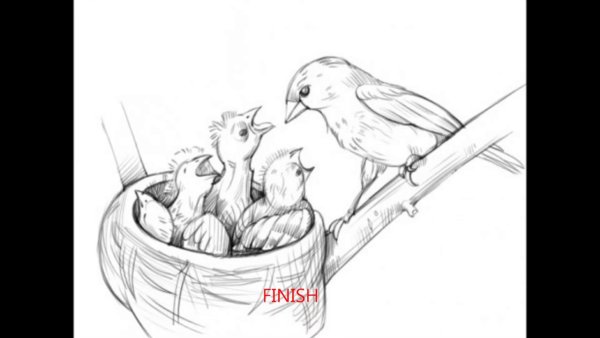 Нарисовать гнездо с птенцами