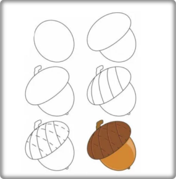 Желудь Графика