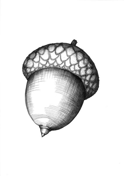 Осенние рисунки для срисовки карандашом легкие