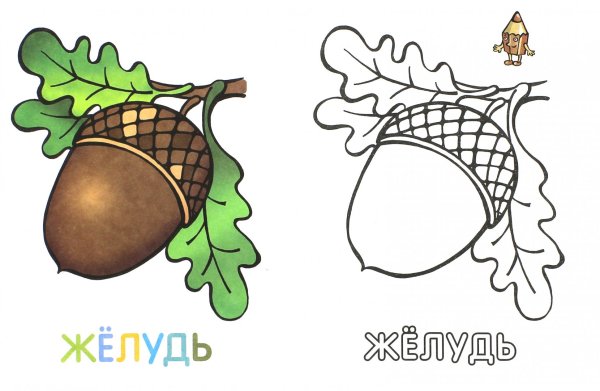 Тату дубовые листья эскизы