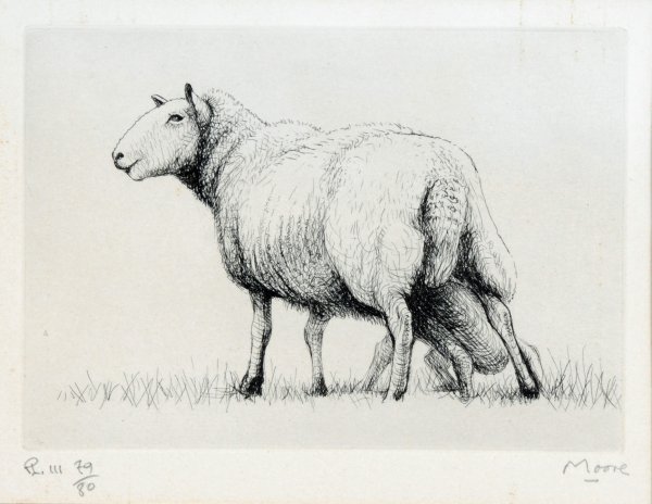 Зарисовки животных баран