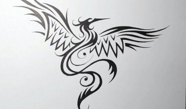 Феникс карандашом