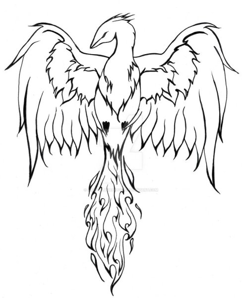 Феникс рисунок для срисовки