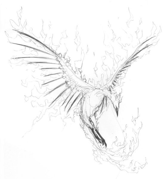 Феникс карандашом