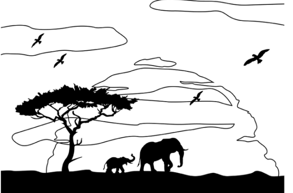 Африка карандашом