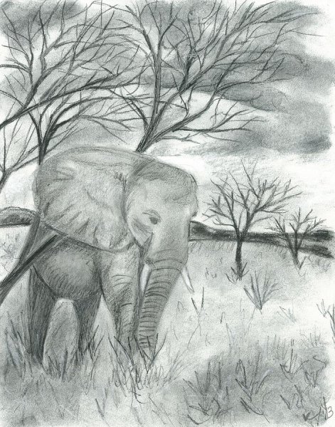 Саванна рисунок