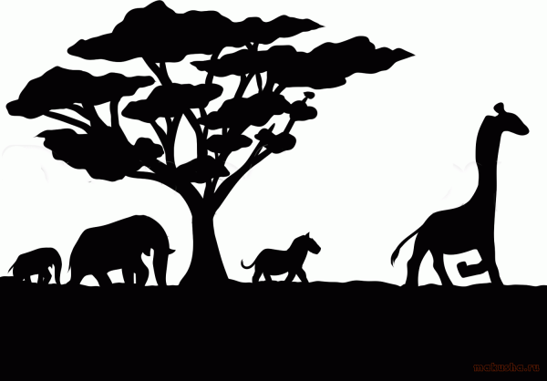 Слон в саванне рисунок