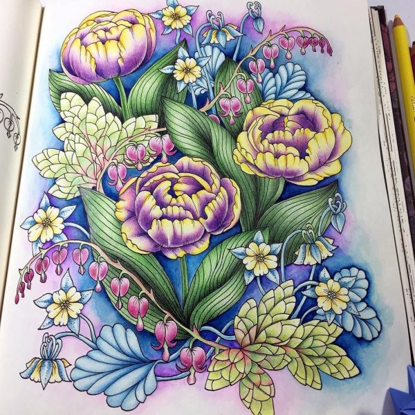 Цветы цветными карандашами
