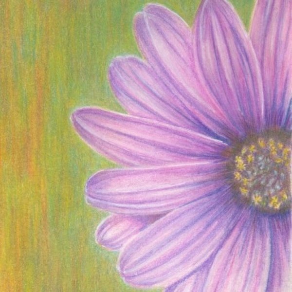 Цветы восковыми мелками