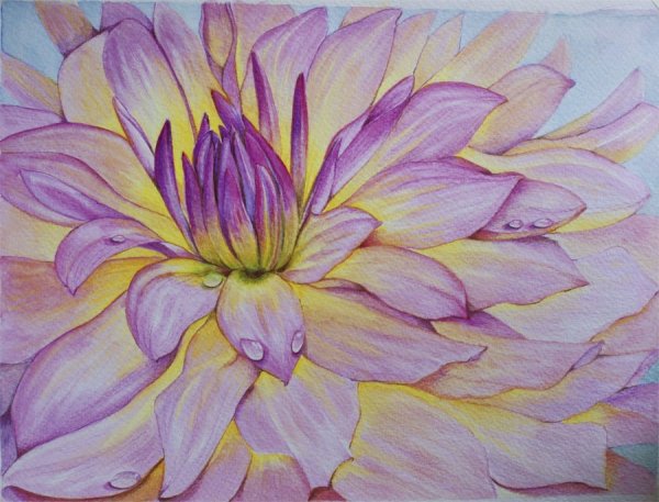 Ирис масляной пастелью