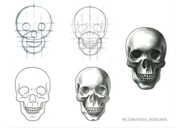 Череп рисунок карандашом