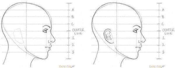 Поэтапное рисование лица в профиль