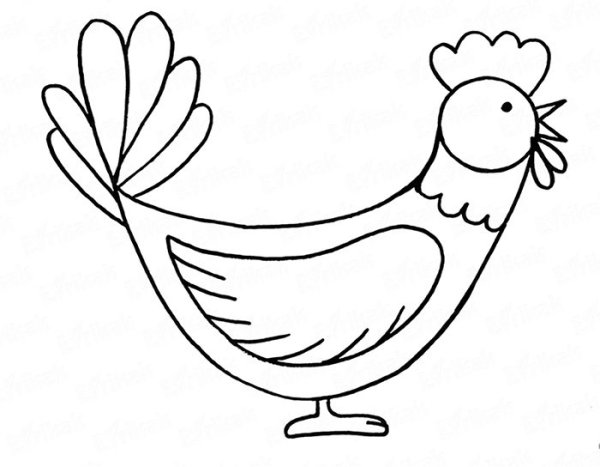 Петушок рисунок карандашом