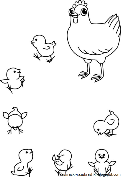 Цыпленок. Раскраски