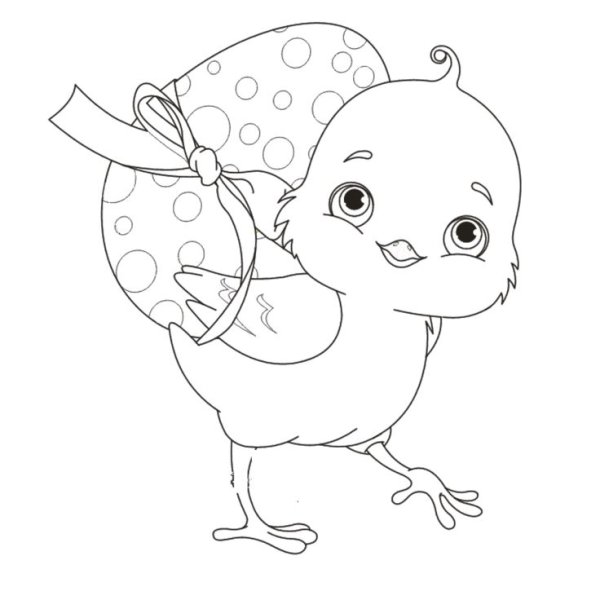 Цыпленок. Раскраски