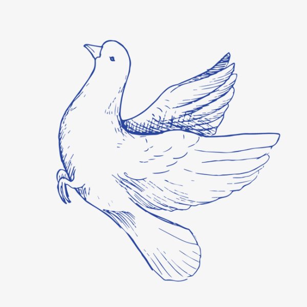 Голубь мира рисунок