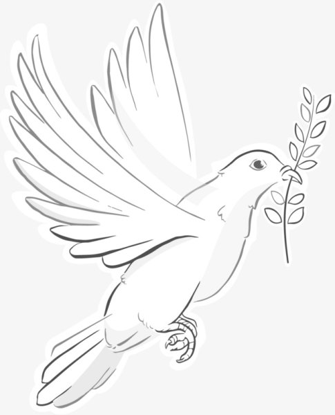 Голубь рисунок карандашом