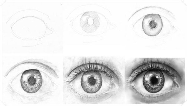 Поэтапное рисование гл