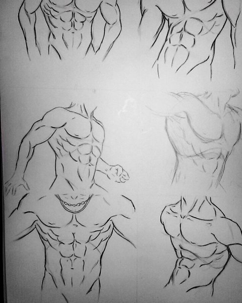 Мужской торс нарисовать
