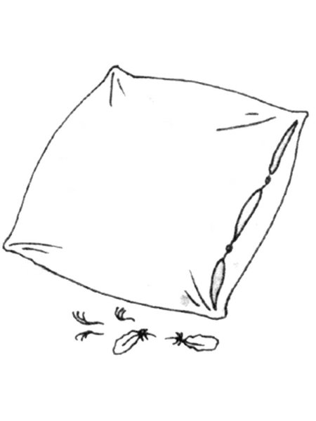 Подушка нарисованная