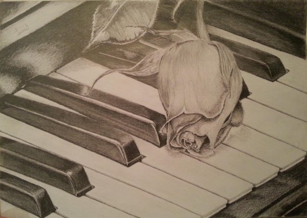 Фортепиано контур