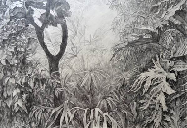 Гризайль джунгли