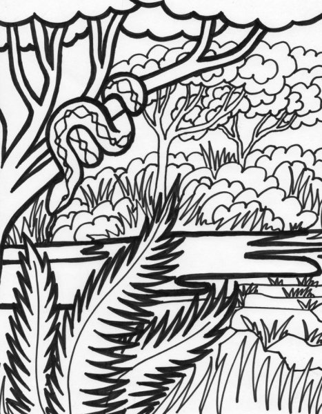 Раскраска джунгли для детей