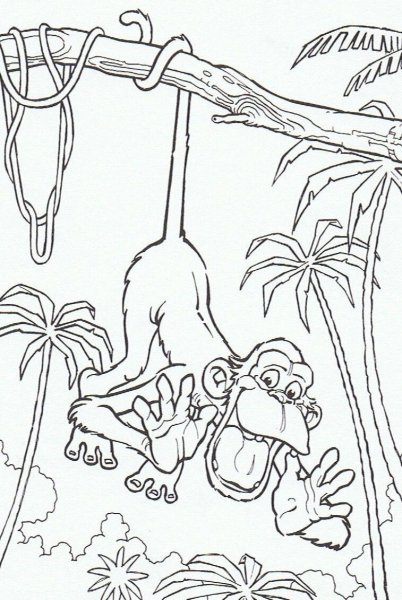 Джунгли рисунок