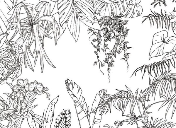 Гравюра тропики