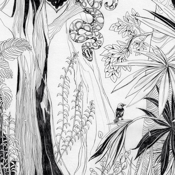 Джунгли рисунок легкий