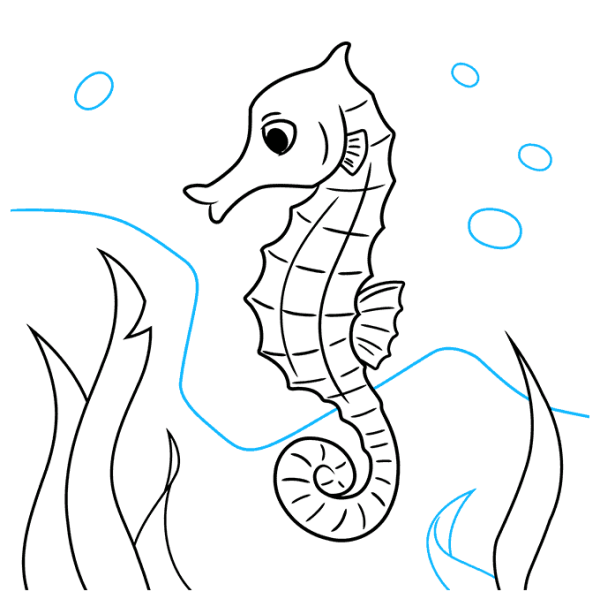 Раскраска морские обитатели