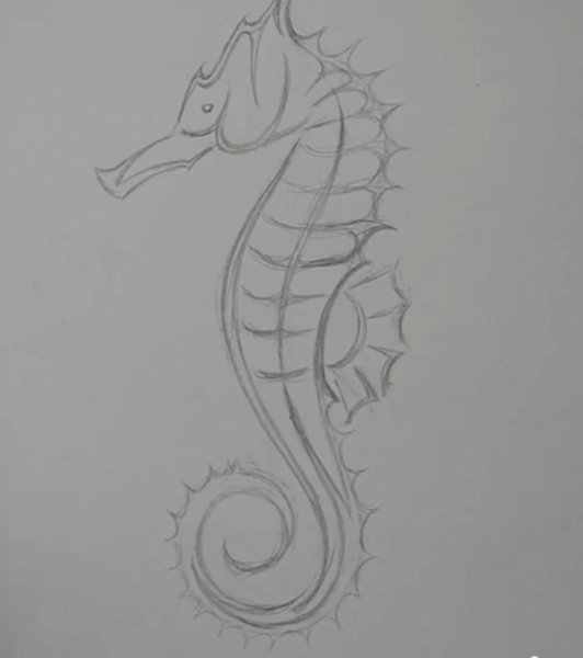 Морской конек рисунок