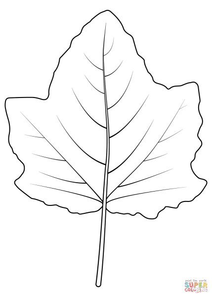 Лист осины контур