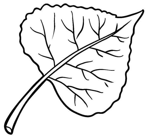Березовые листочки шаблоны для вырезания