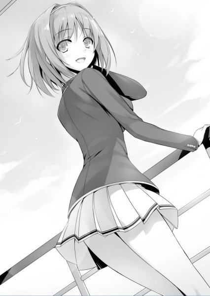 Хорикита Сузуне ранобэ