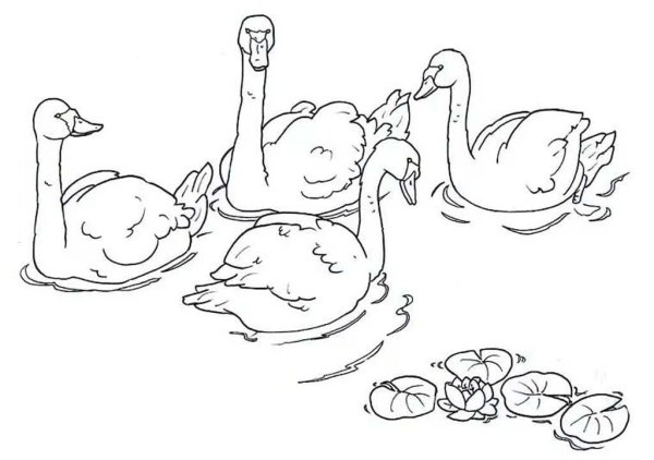 Михаил пришвин ребята и утята раскраска