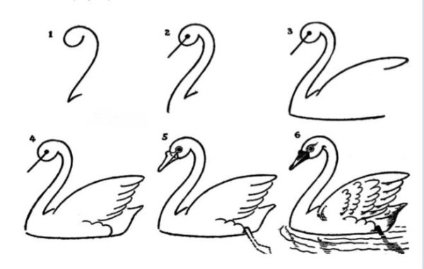 Яйцо утенок утка раскраска