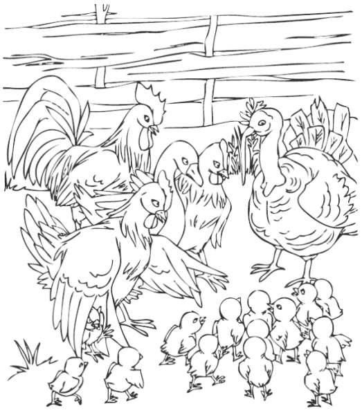 Иллюстрация к сказке Гадкий утенок раскраска