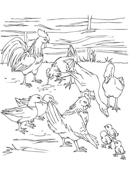 Гадкий утенок рисунок