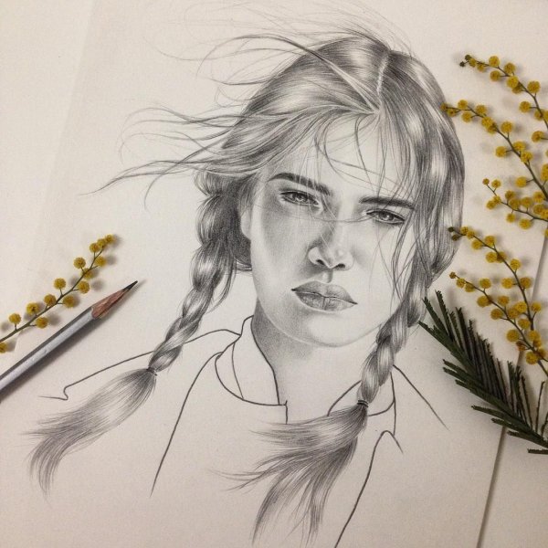 Румянец скетч карандашом