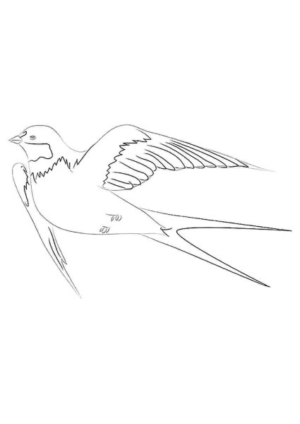 Рисуем ласточку
