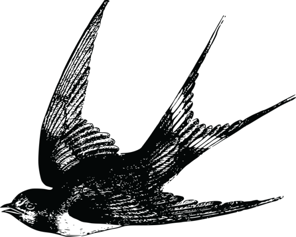 Трафарет ласточки