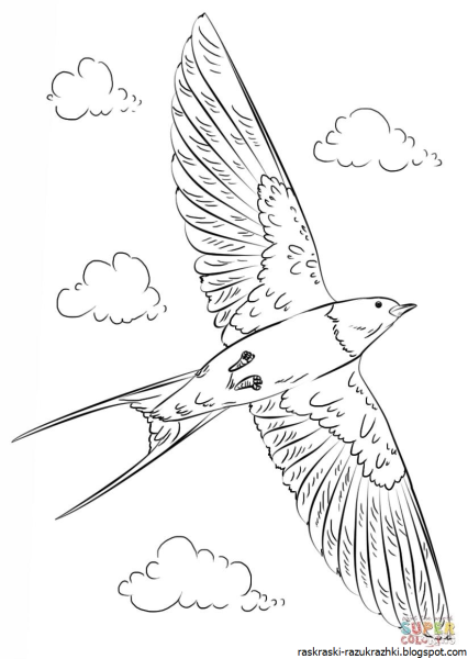 Рисование с детьми перелетные птицы