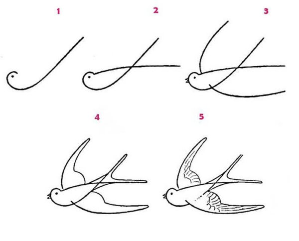 Ласточка рисунок для детей карандашом поэтапно